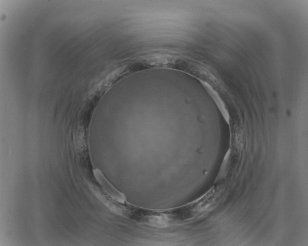 X0000063460411200601271609