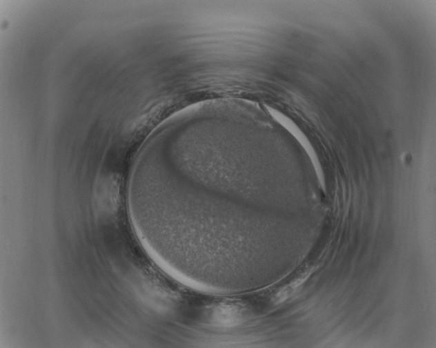 X0000063460412200601271609