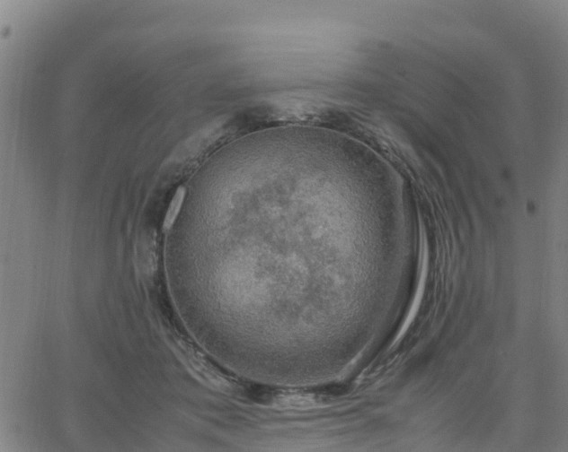 X0000063460413200601271609