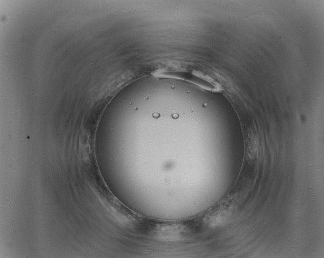 X0000063460414200601271609