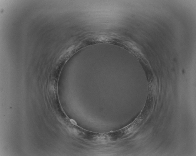 X0000063460415200601271609