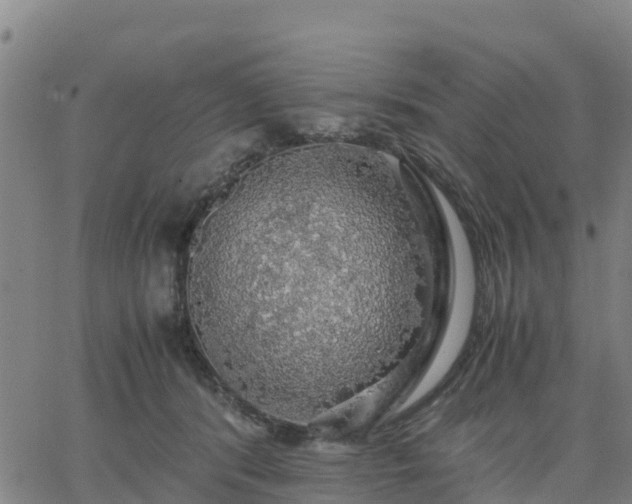 X0000063460416200601271609