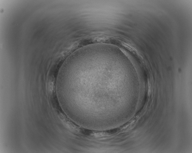 X0000063460417200601271609