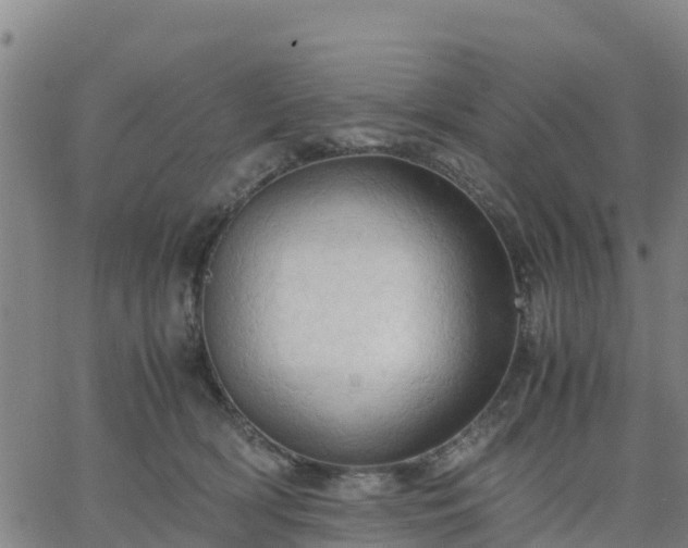 X0000063460418200601271609