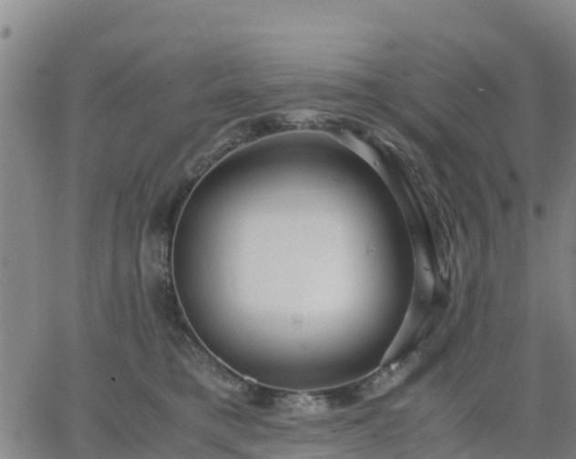 X0000063460421200601271609