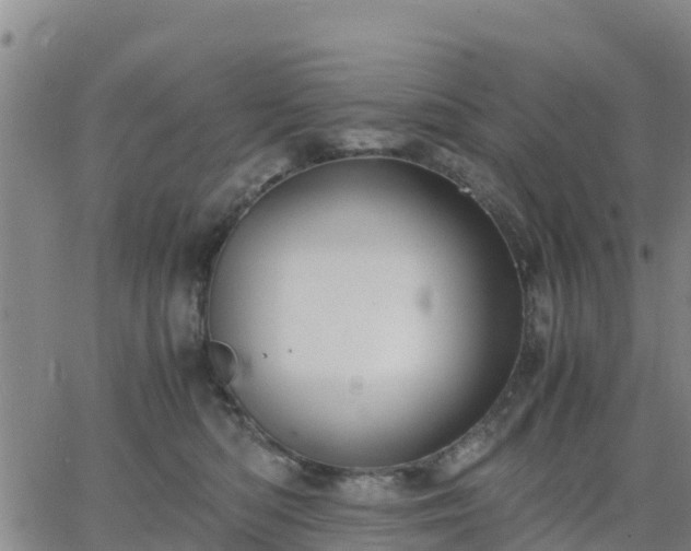 X0000063460422200601271609