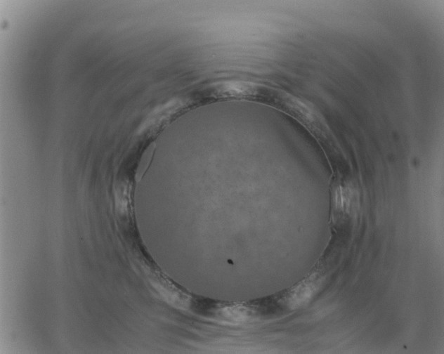 X0000063460423200601271609