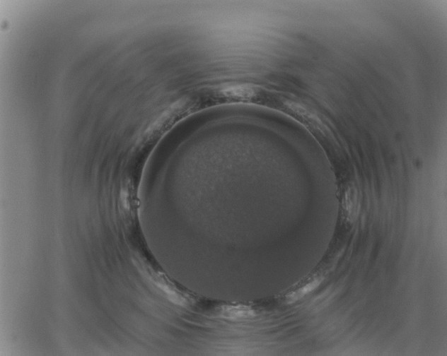 X0000063460424200601271609