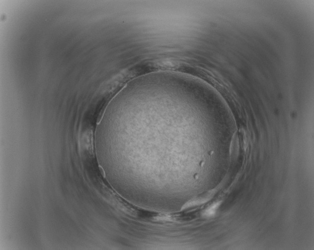 X0000063460425200601271609