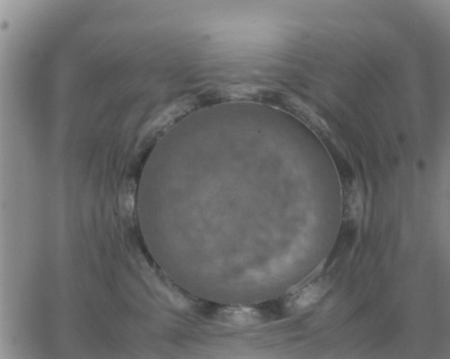 X0000063460427200601271609