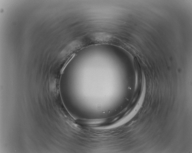 X0000063460428200601271609