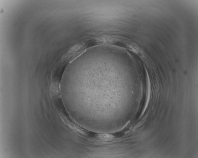 X0000063460429200601271609