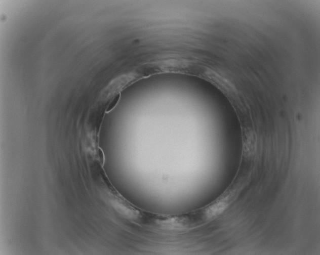 X0000063460430200601271609