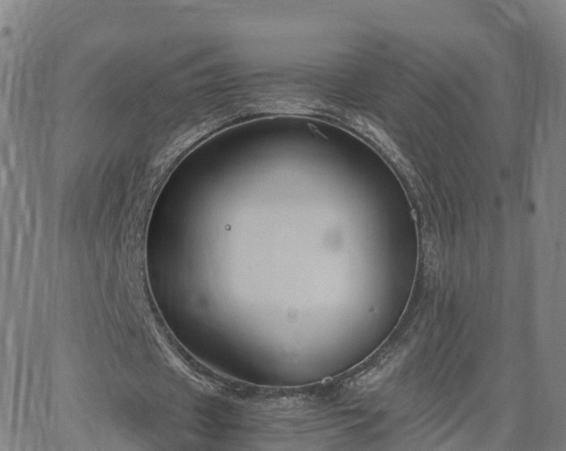 X0000063460433200601271608