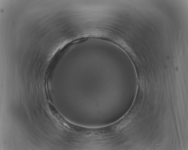 X0000063460434200601271608