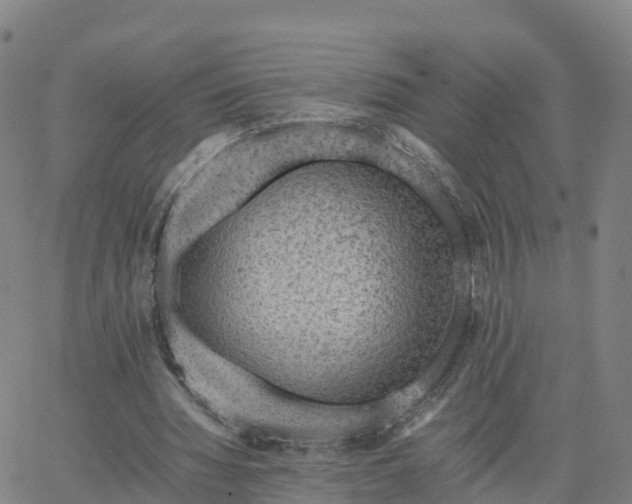 X0000063460436200601271608