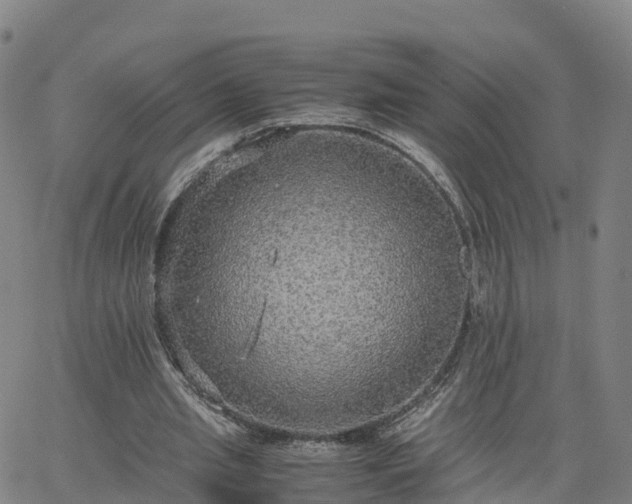 X0000063460437200601271608