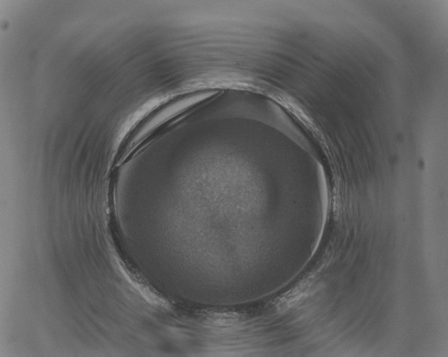 X0000063460438200601271608