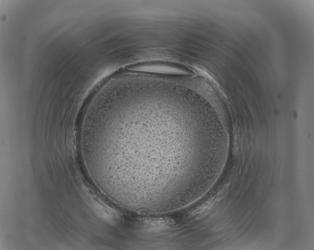 X0000063460439200601271608