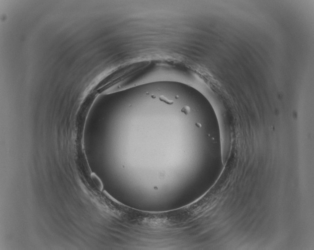 X0000063460440200601271608