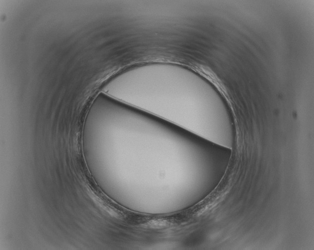 X0000063460441200601271608