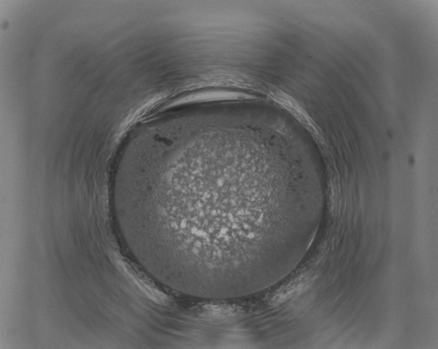 X0000063460442200601271608