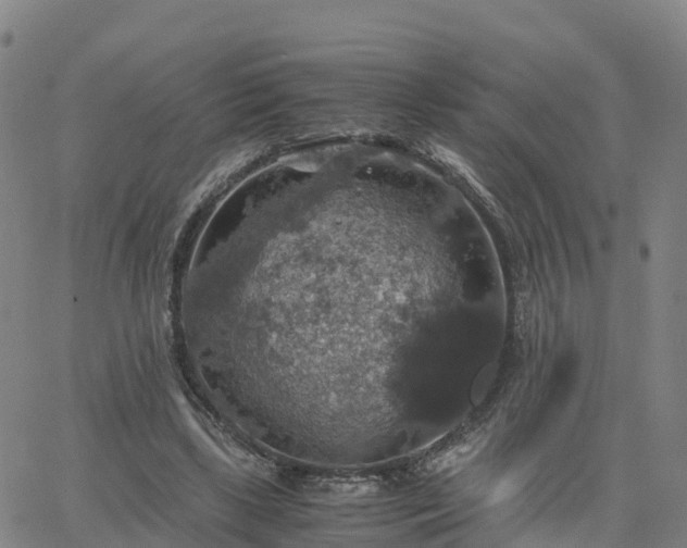 X0000063460443200601271608