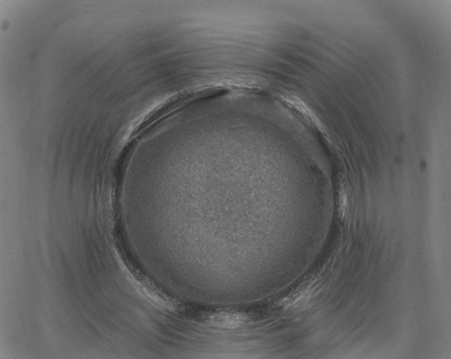 X0000063460444200601271608