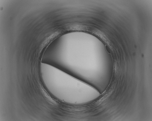 X0000063460445200601271608