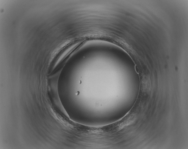 X0000063460446200601271608