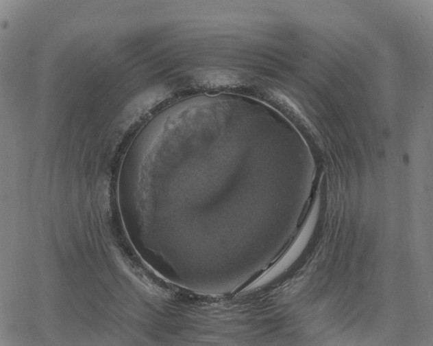 X0000063460447200601271608