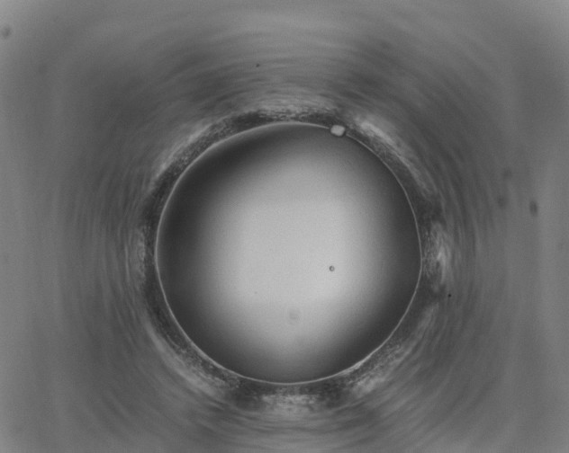 X0000063460448200601271608