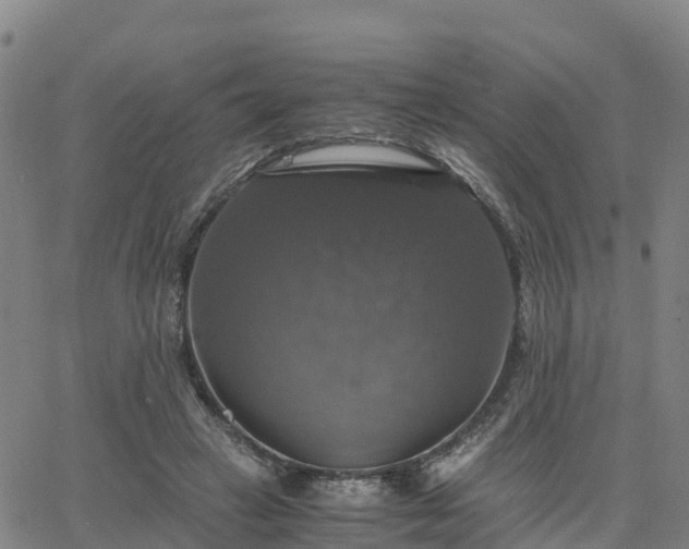 X0000063460449200601271608