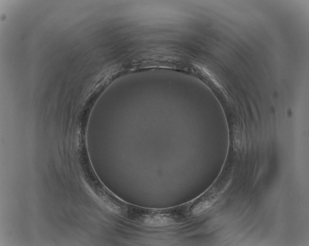 X0000063460451200601271608