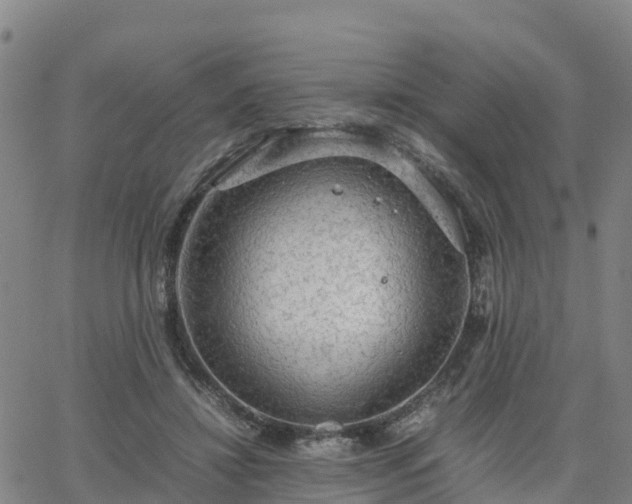 X0000063460452200601271608