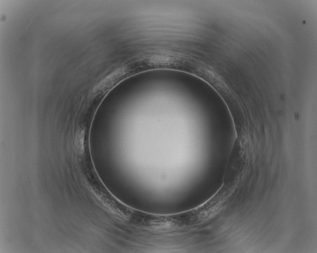 X0000063460454200601271608