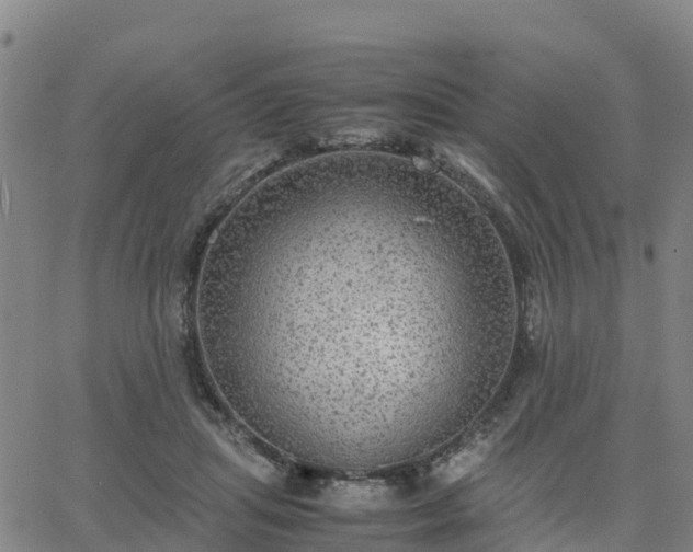 X0000063460455200601271608