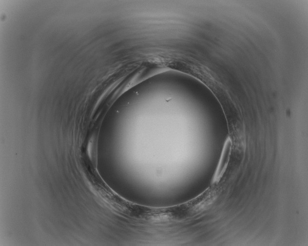 X0000063460456200601271608