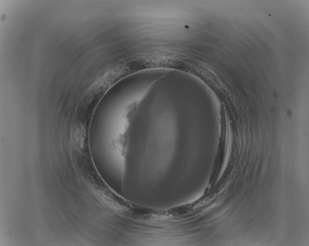 X0000063460458200601271608