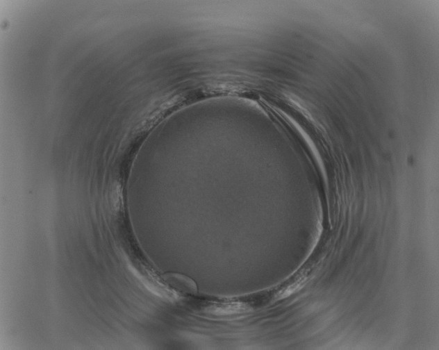 X0000063460459200601271608