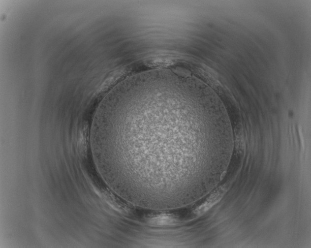 X0000063460460200601271608