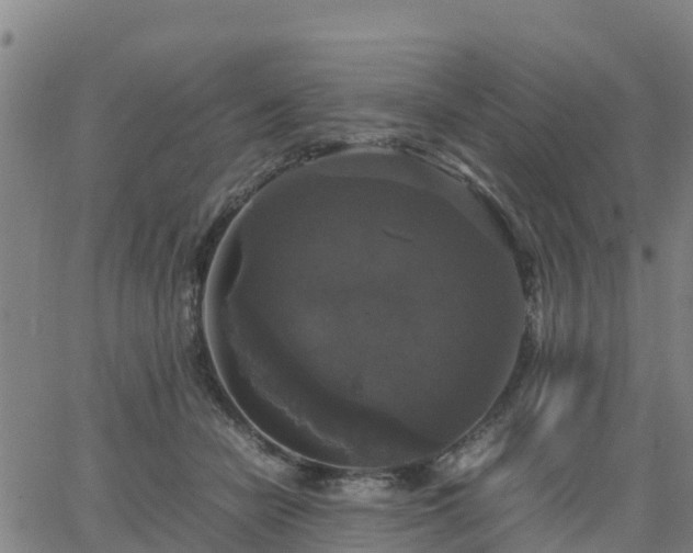 X0000063460462200601271608