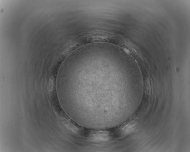 X0000063460463200601271608