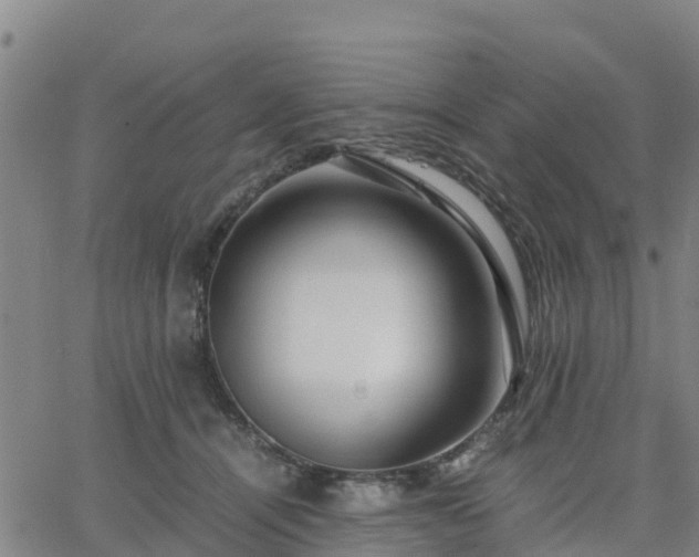 X0000063460464200601271608