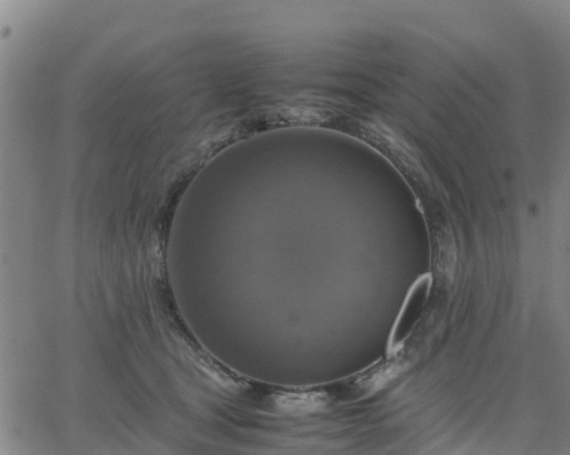 X0000063460465200601271608