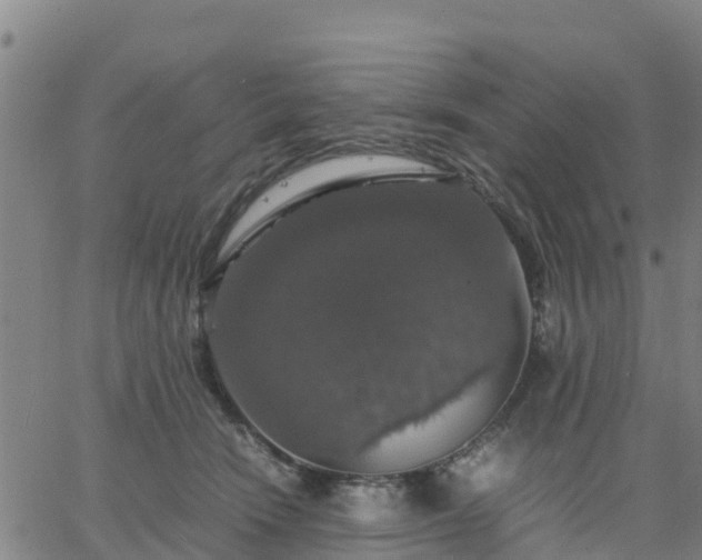 X0000063460466200601271608