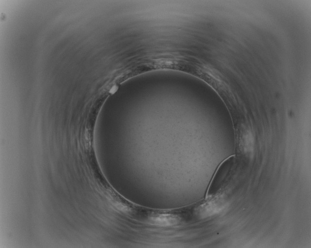 X0000063460467200601271609