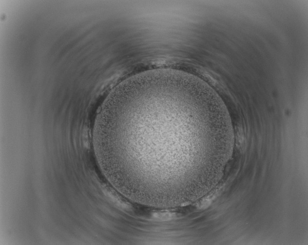 X0000063460470200601271609