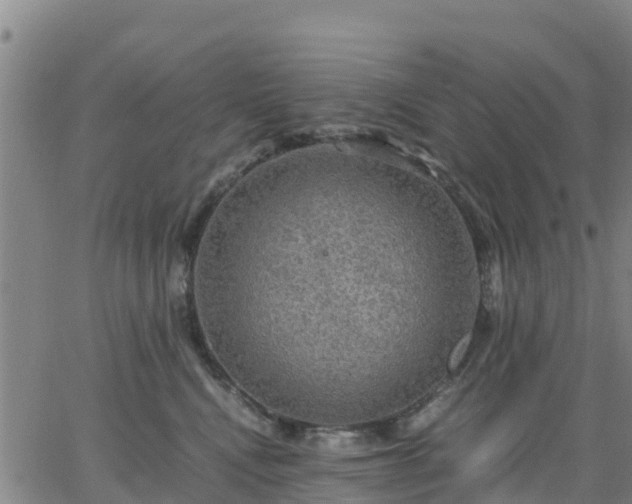 X0000063460472200601271609