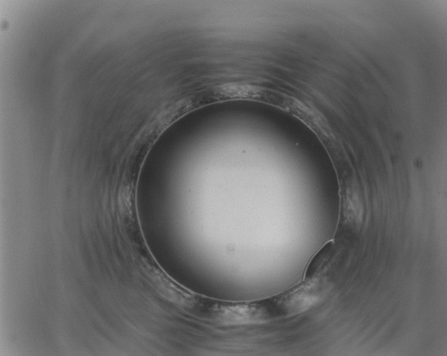 X0000063460473200601271609